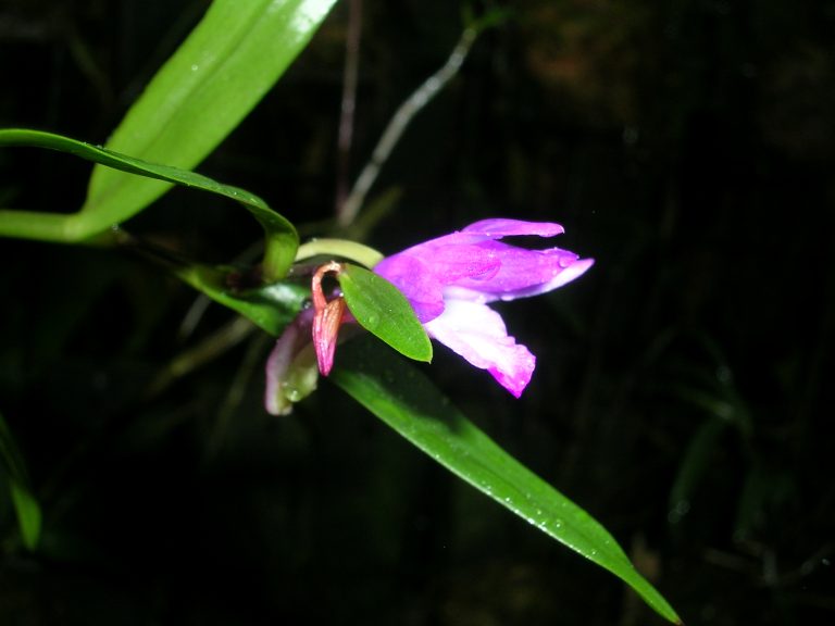 DSCN4878