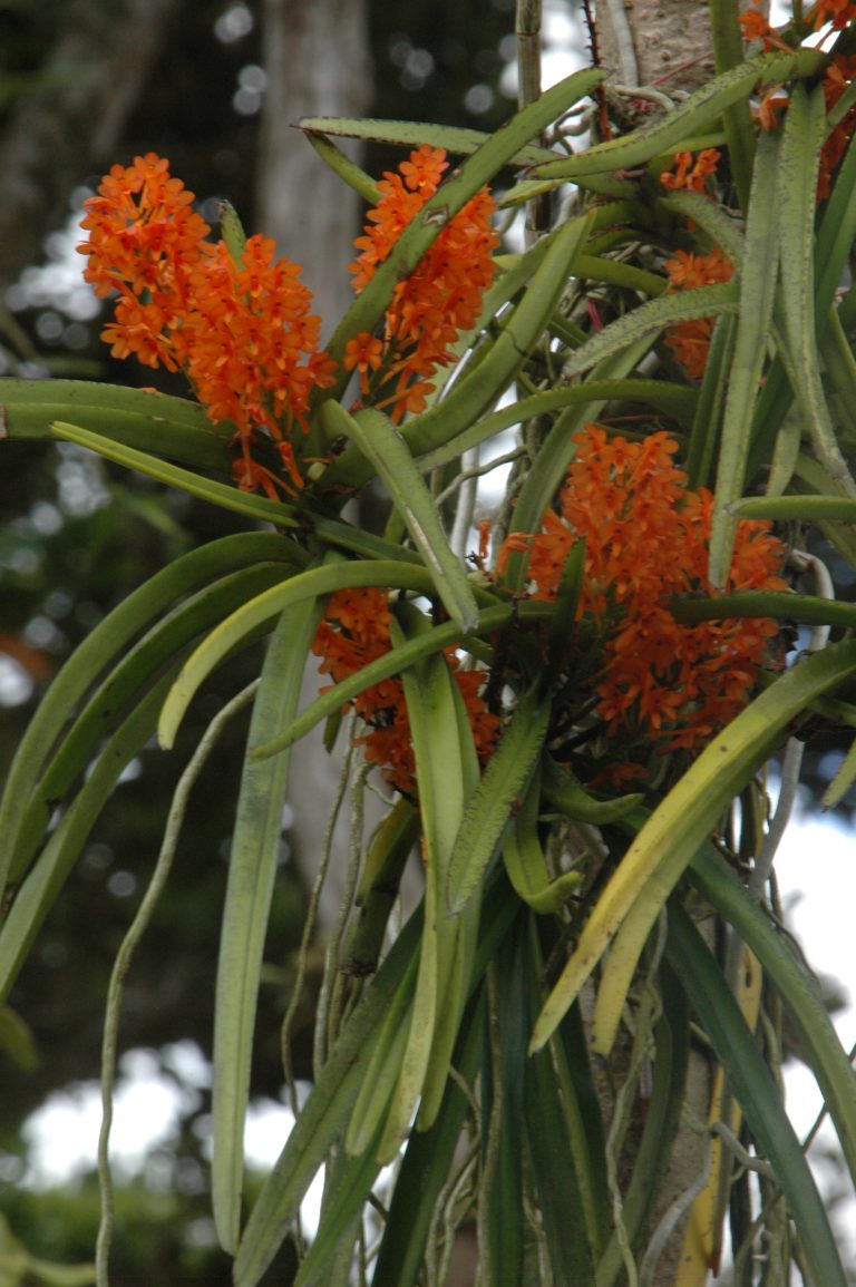 HA07A012kk@@@@@5555555<<