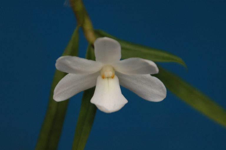 HA07A012kk@@@@@